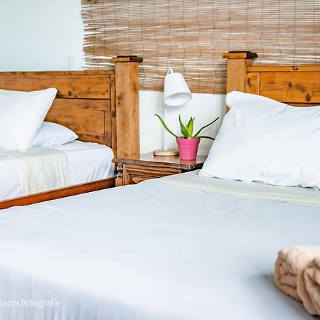 Lost In San Jose Hotel & Hostel Экстерьер фото