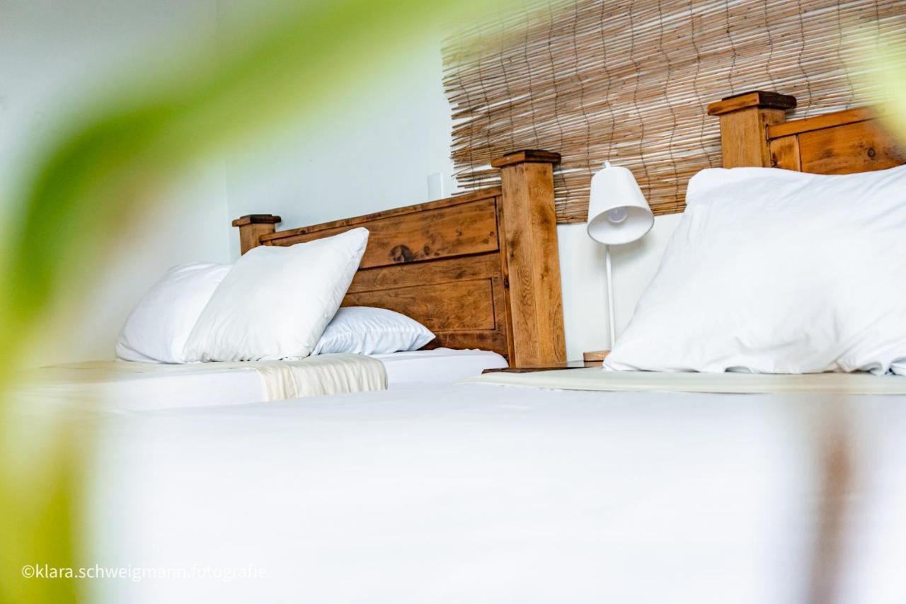 Lost In San Jose Hotel & Hostel Экстерьер фото