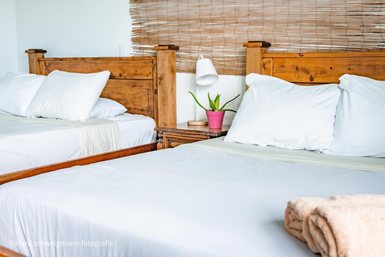 Lost In San Jose Hotel & Hostel Экстерьер фото