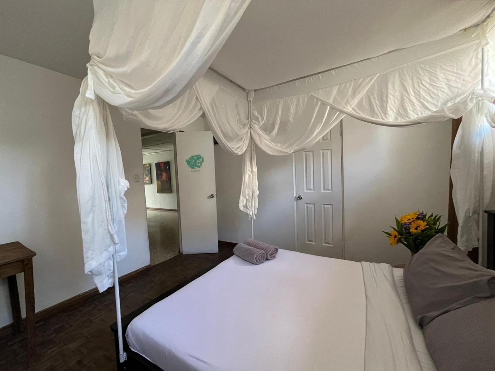 Lost In San Jose Hotel & Hostel Экстерьер фото
