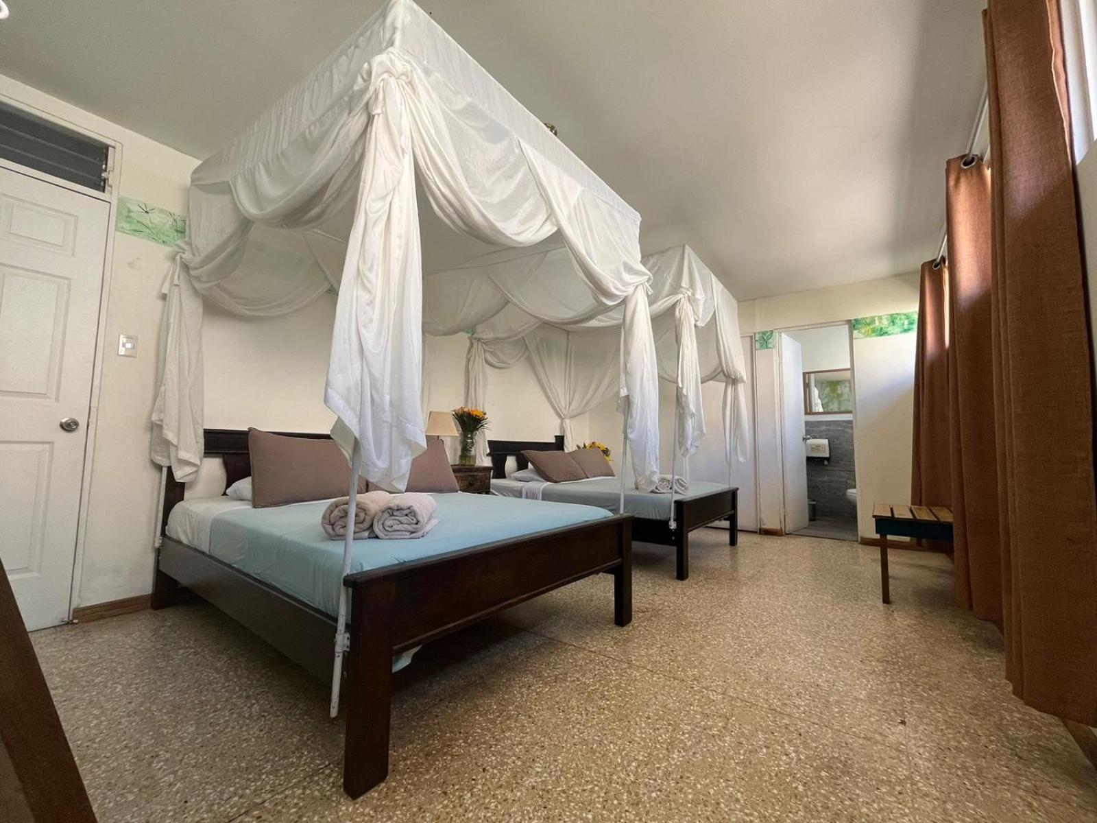 Lost In San Jose Hotel & Hostel Экстерьер фото