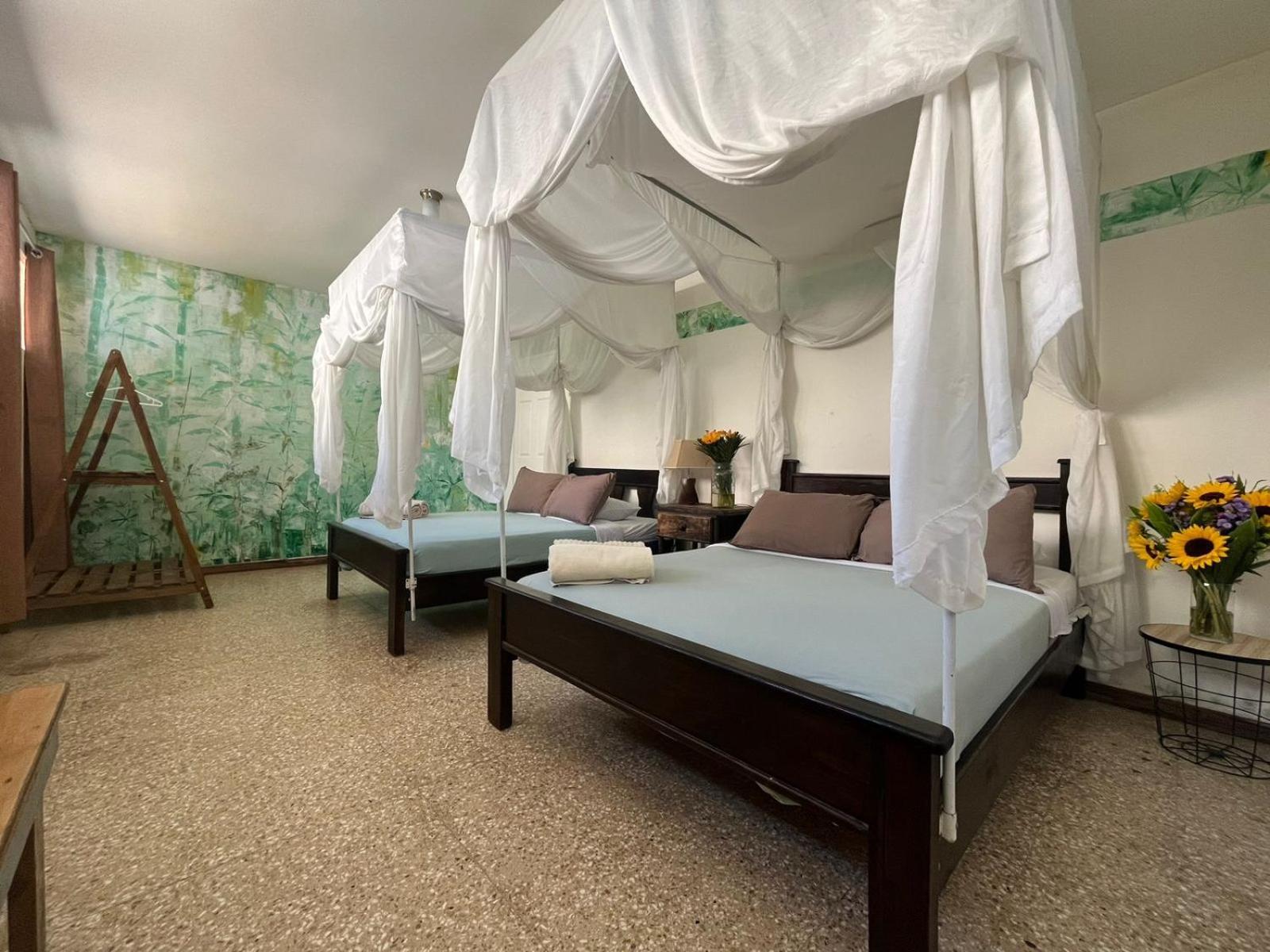 Lost In San Jose Hotel & Hostel Экстерьер фото