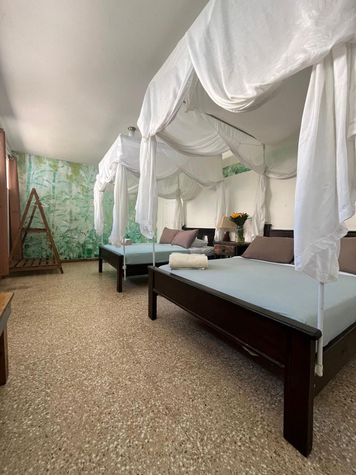 Lost In San Jose Hotel & Hostel Экстерьер фото