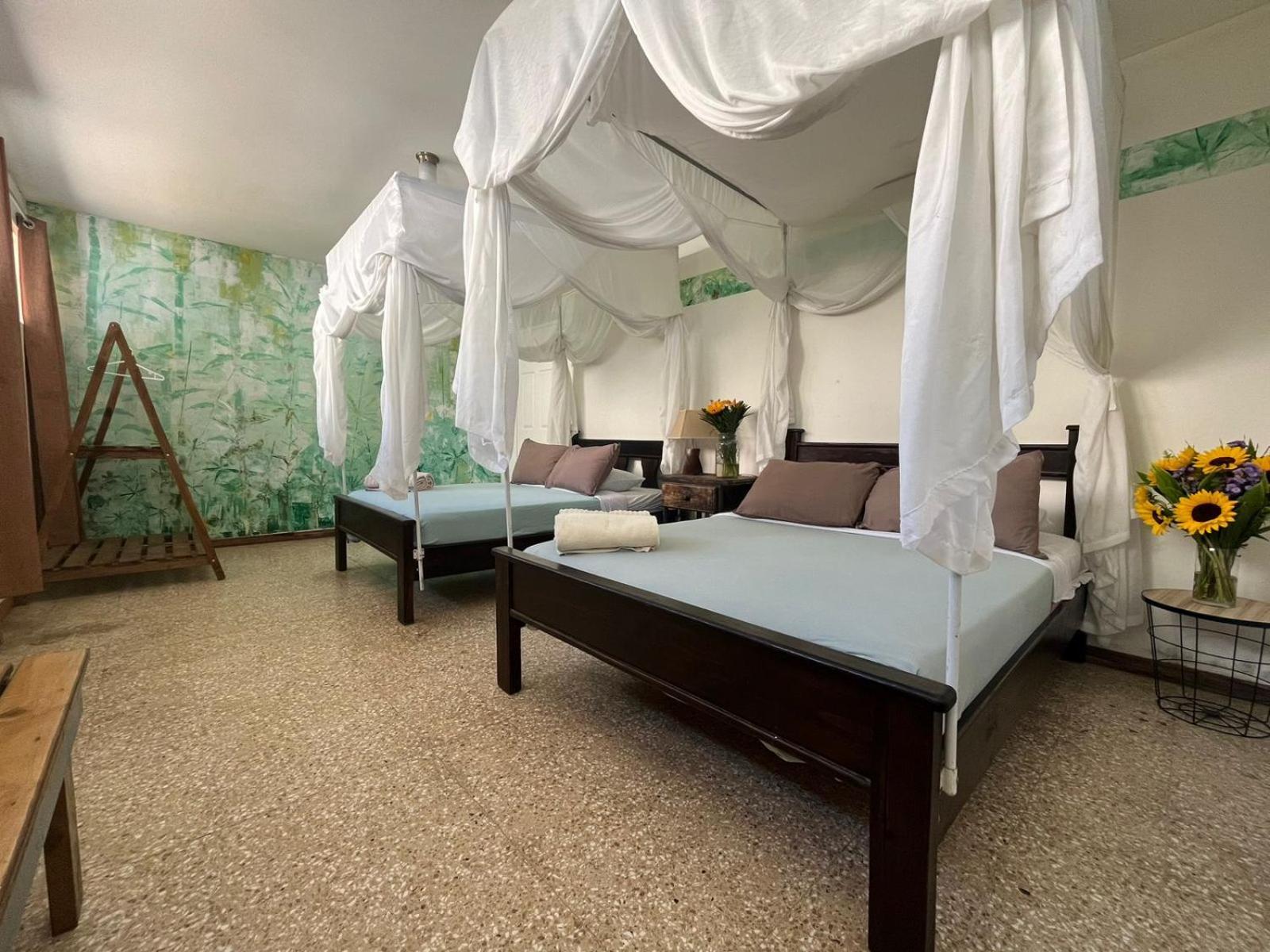 Lost In San Jose Hotel & Hostel Экстерьер фото