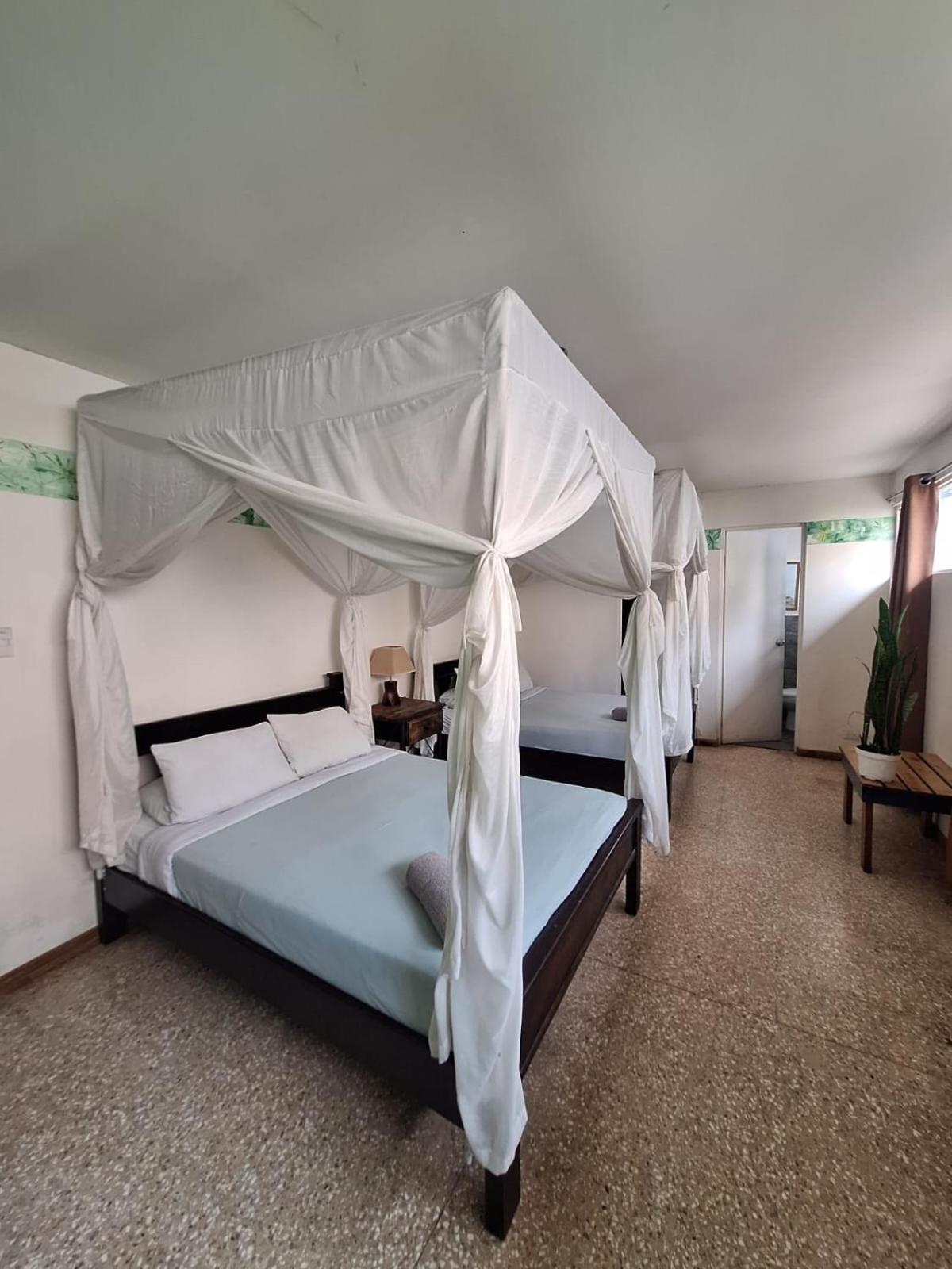 Lost In San Jose Hotel & Hostel Экстерьер фото